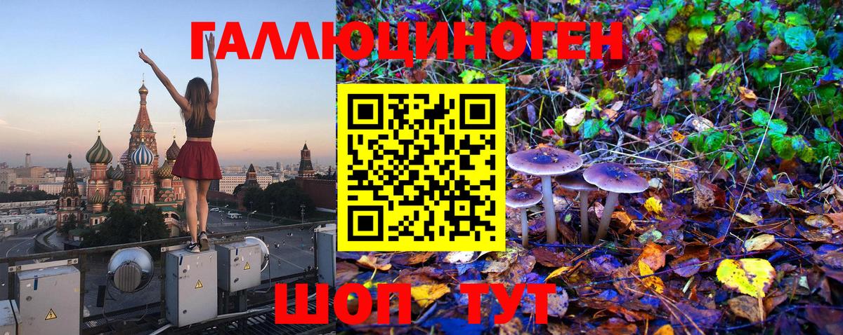 Псилоцибиновые грибы Psilocybine cubensis Тайшет