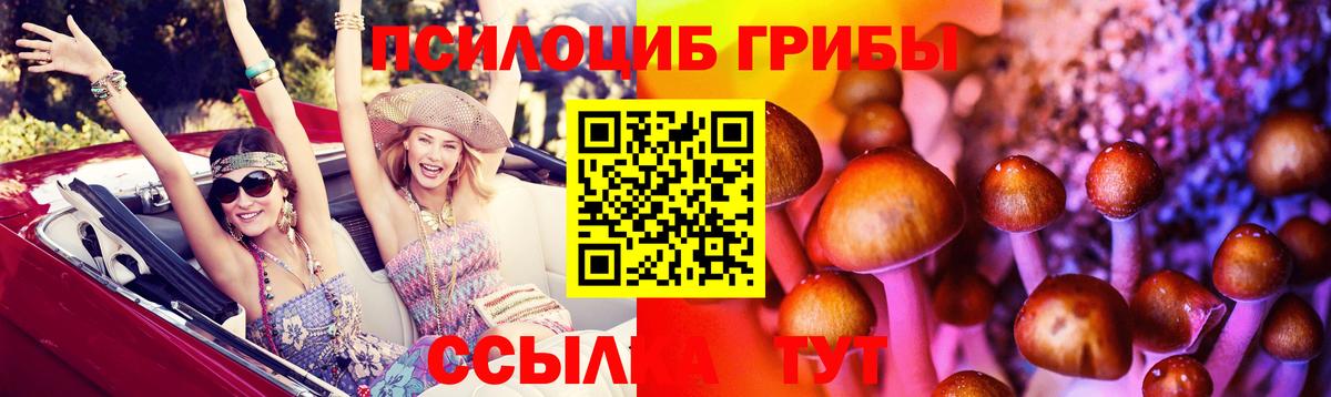 Псилоцибиновые грибы прущие грибы  Галлюциногенные грибы MAGIC MUSHROOMS  Вход с VPN  Тайшет 